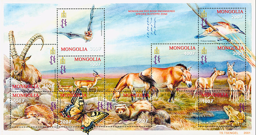 birding mongolia , birding boletas, birding gobi desert , birdwatching  central asia , nature tours , birding tours
